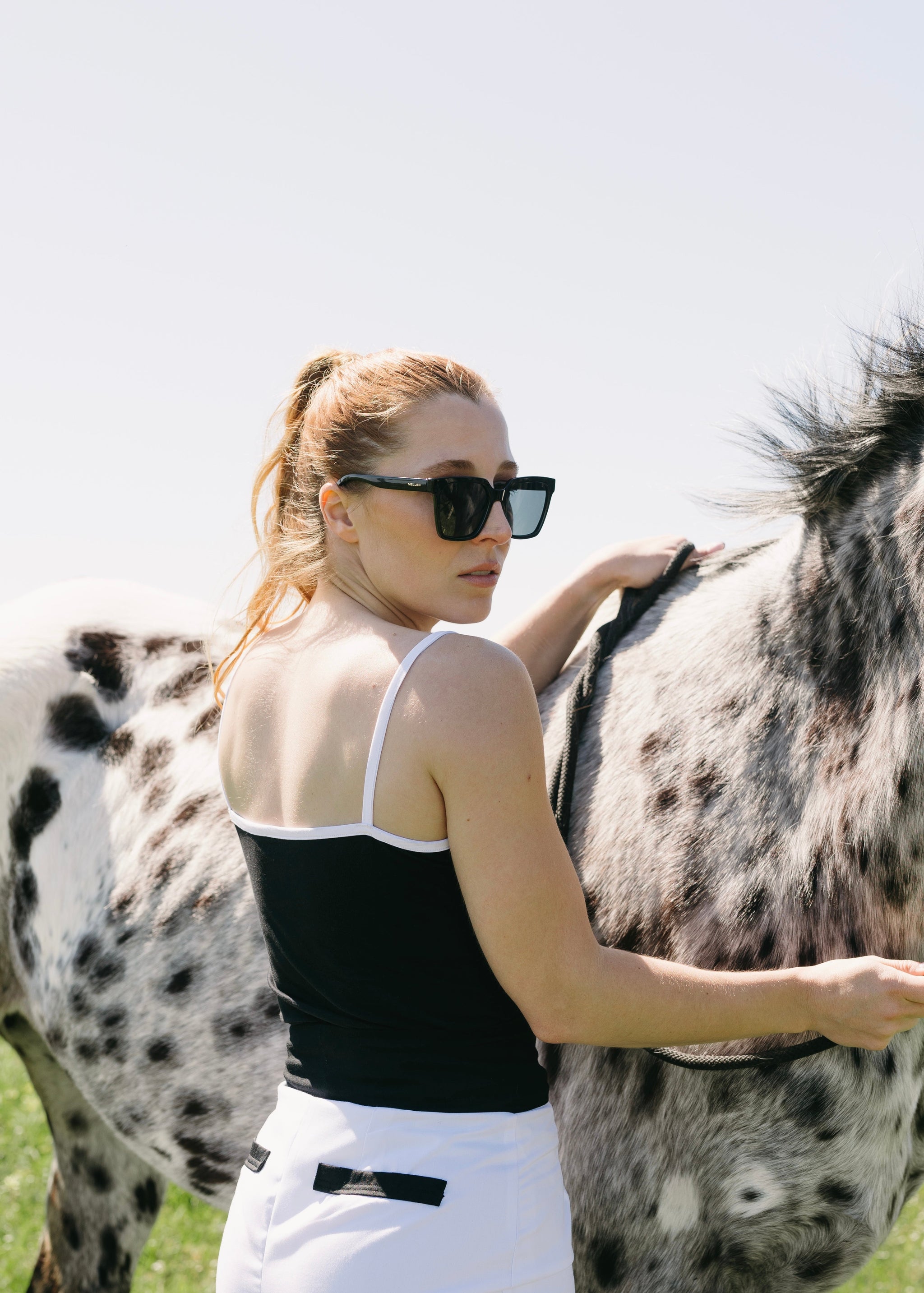 Woman grooming a spotted horse in an outdoor setting